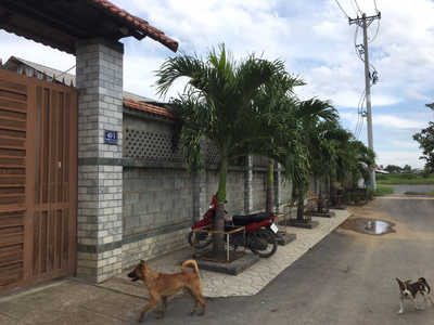 Nhà vườn Huyện Củ Chi Nhà vườn có xưởng diện tích 2554m2 vuông vức, pháp lý đầy đủ rõ ràng.