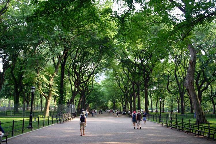 Biên Hòa Golden Town - Cong-vien-du-an-Bien-Hoa- Golden-Town