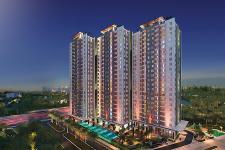 An Gia Star - can-ho-An-Gia-Star