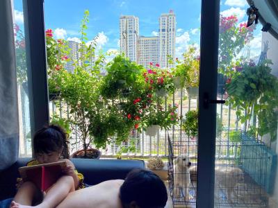 Ban công Luxcity Quận 7 Căn hộ Luxcity đầy đủ nội thất, ban công thoáng mát.