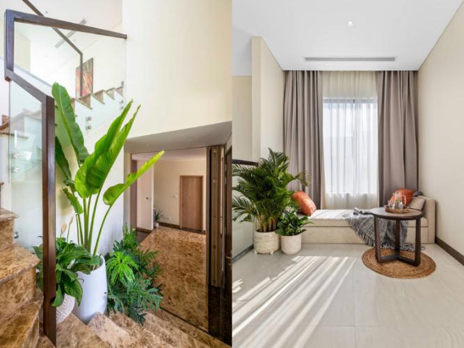 Angsana Residences Hồ Tràm - Angsana Residences Hồ Tràm