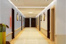 The Golden Dynasty (Hoàng Kim Thế Gia) - hanh-lang-can-ho-The-Golden-Dynasty