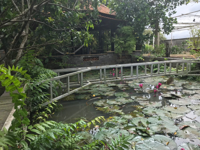 Nhà vườn Huyện Củ Chi Nhà vườn có xưởng diện tích 2554m2 vuông vức, pháp lý đầy đủ rõ ràng.