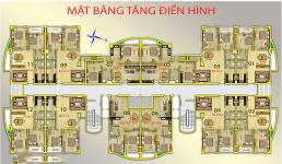 Cao ốc An Lạc (Triều An Tower) - mat-bang-tang-can-ho-Trieu-An-Tower